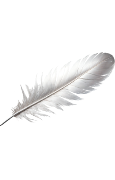 Shape image